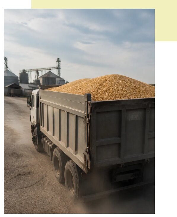 Перевозка сельхозпродукции навалом в Валуйки по цене от 3194 р. | Агросервис-Вли